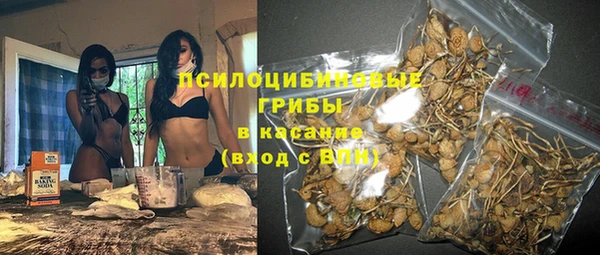 spice Верея
