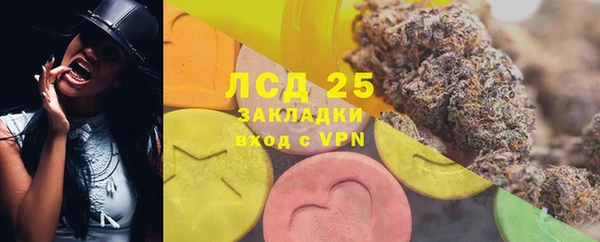 spice Верея