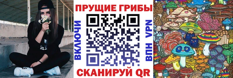 Псилоцибиновые грибы мицелий  Купить  Нестеров 